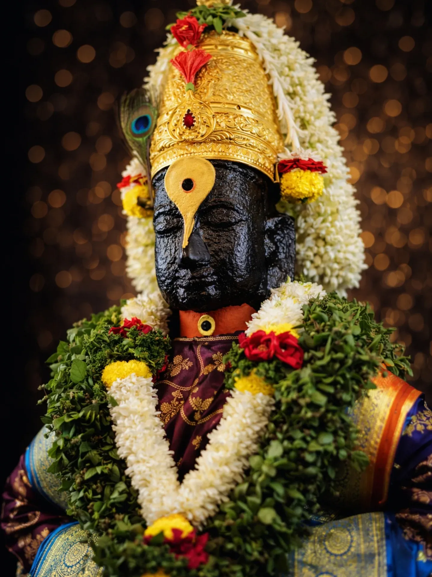 Pandharpur Live Darshan Photo 050