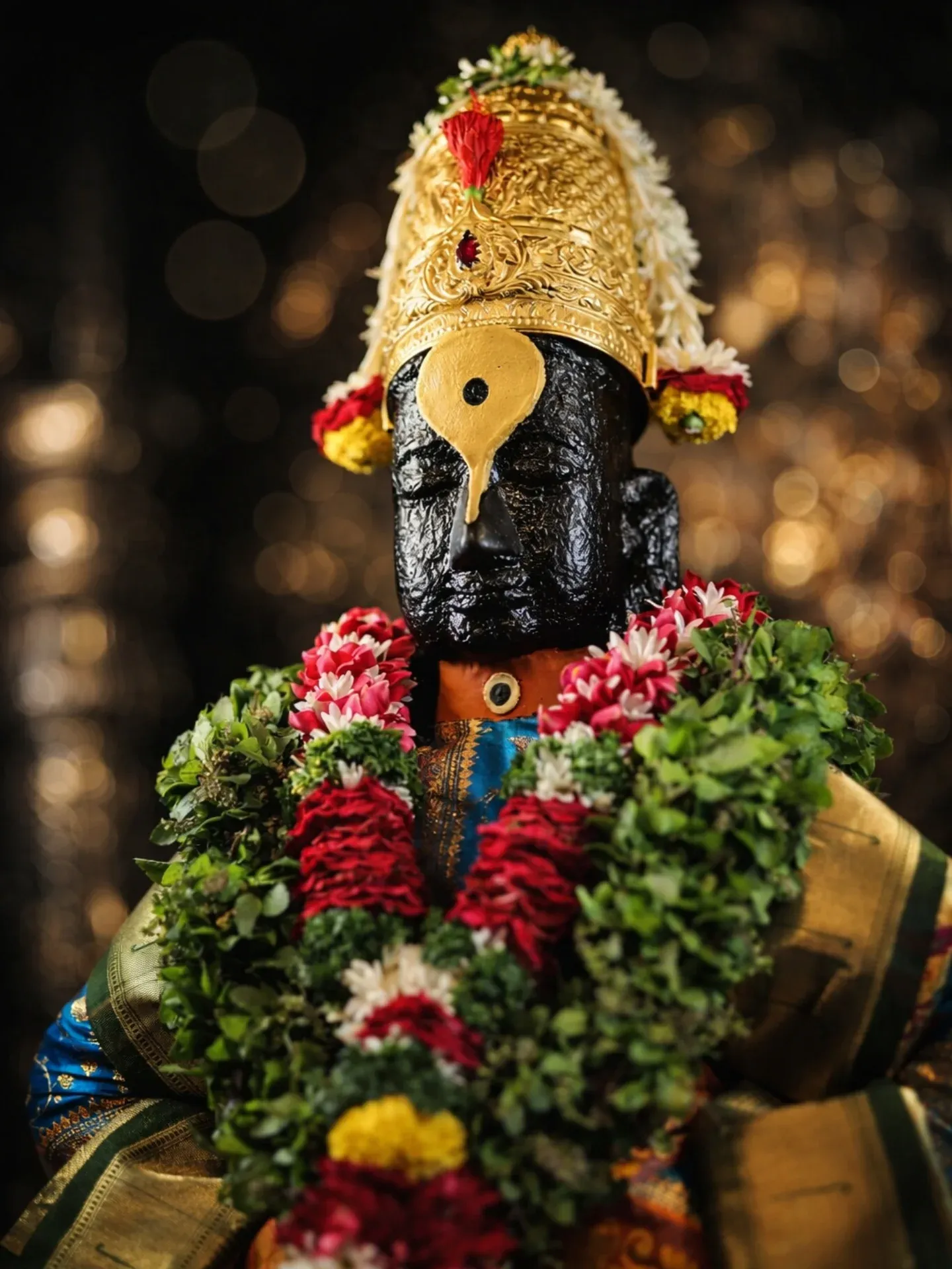 Pandharpur Vitthal Darshan Image 142