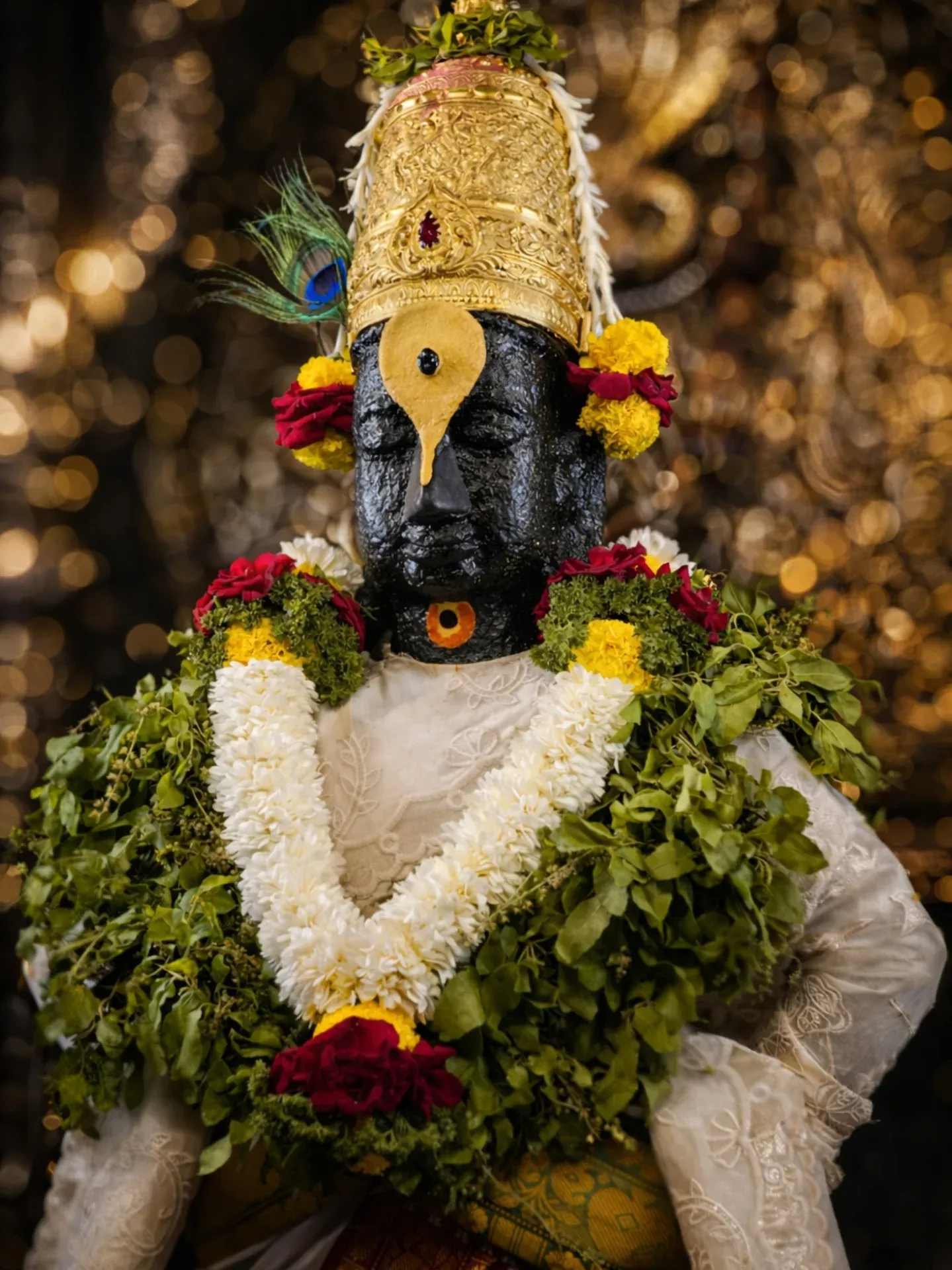 Shree Hari Vitthal Mauli Photo 025