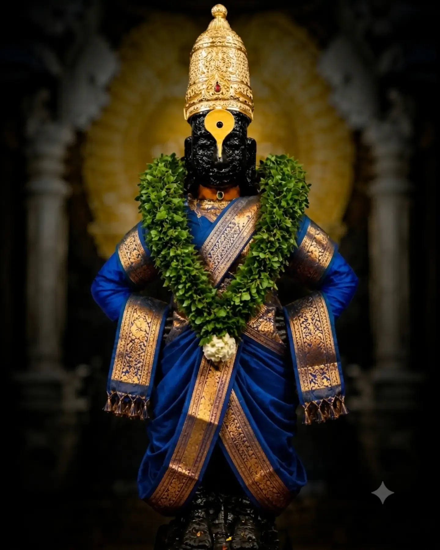 Shree Hari Vitthal Mauli Photo 035