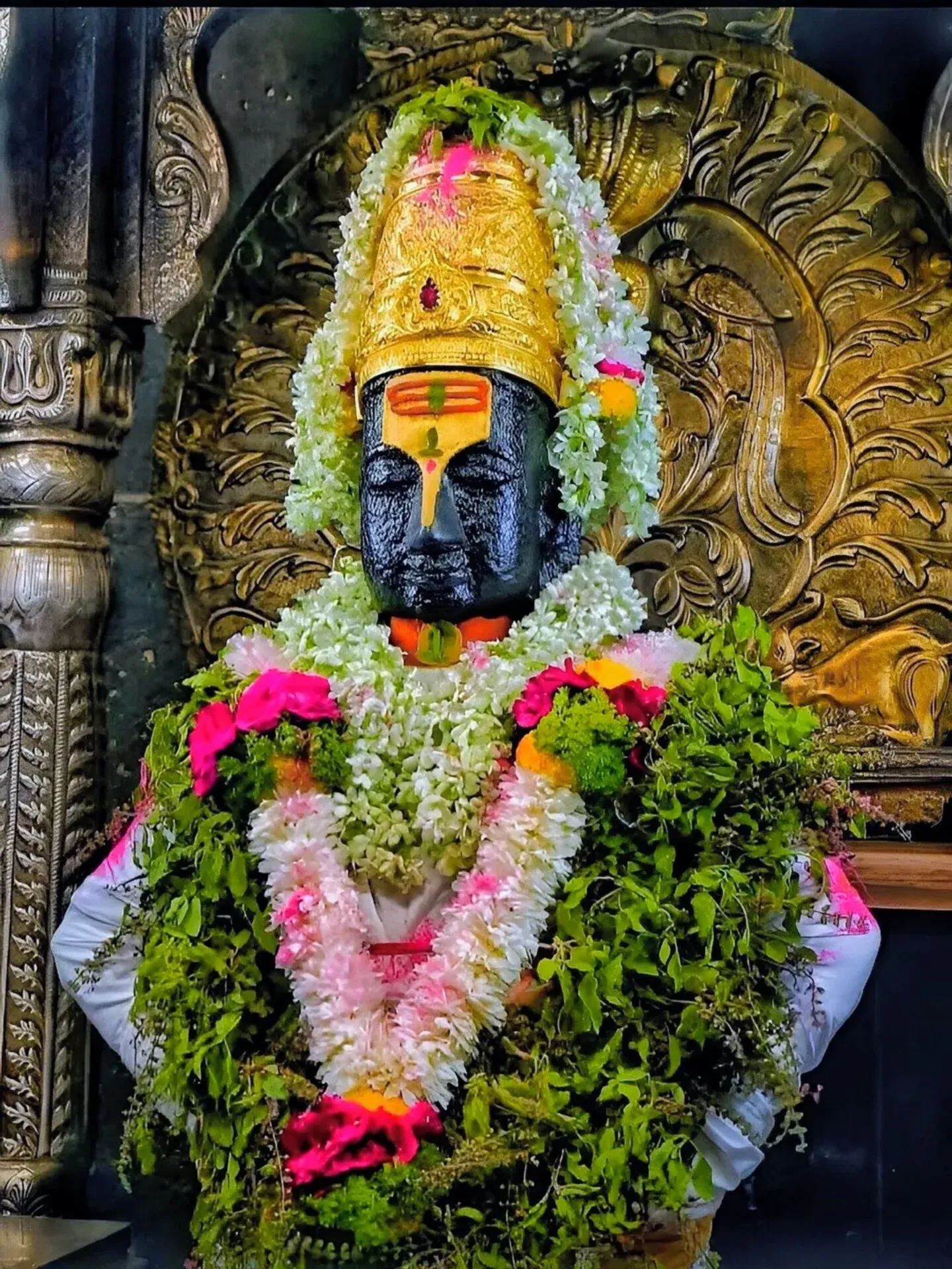 Shree Hari Vitthal Mauli Photo 085