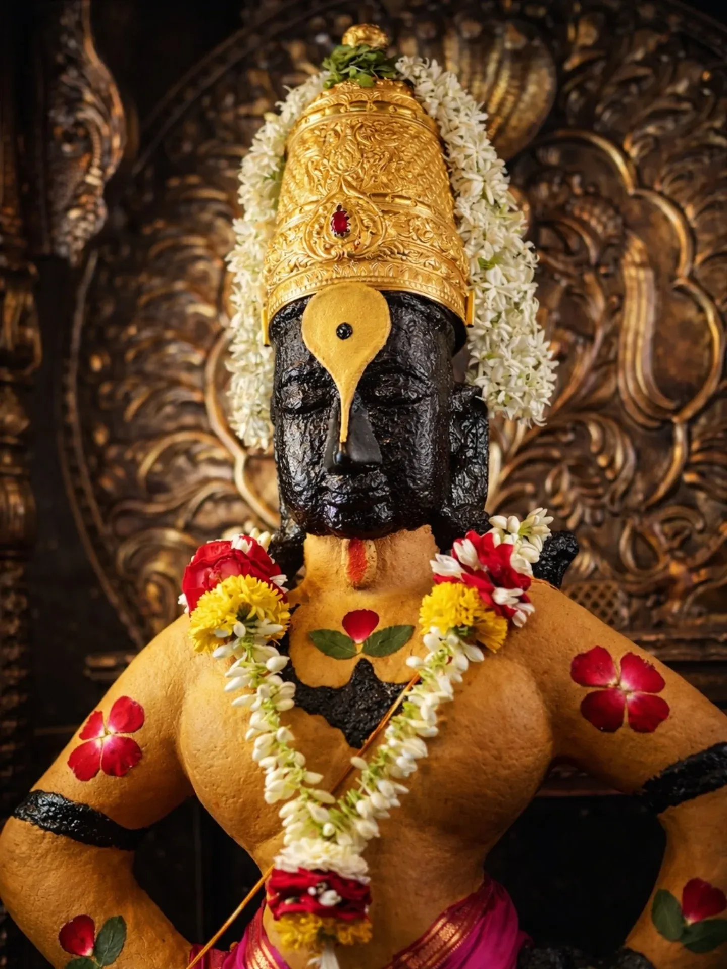Shree Hari Vitthal Mauli Photo 095