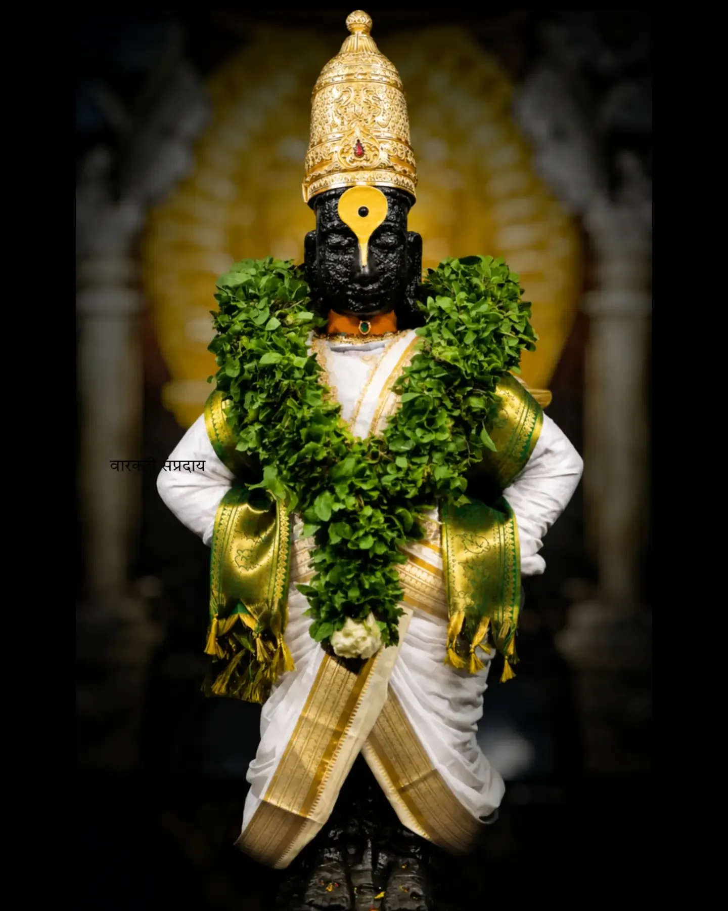 Shree Vitthal Pandurang Hd Photo 011