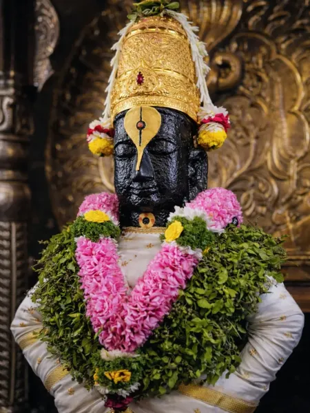पंढरपूर थेट दर्शन १२