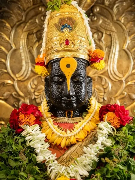 पंढरपूर विठ्ठल दर्शन रूप ०२