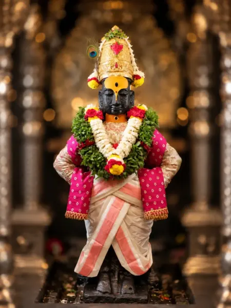 पंढरपूर विठ्ठल दर्शन रूप ०३