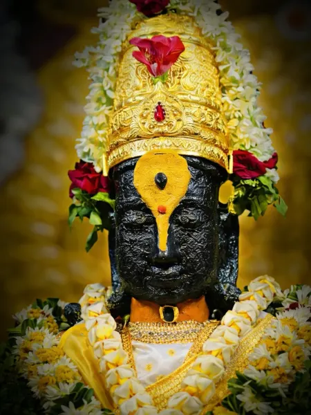 पंढरपूर विठ्ठल दर्शन रूप ०६