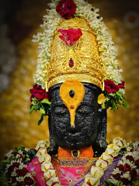 पंढरपूर विठ्ठल दर्शन रूप ११