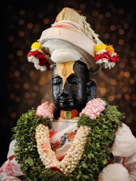 पंढरपूर विठ्ठल दर्शन रूप १२