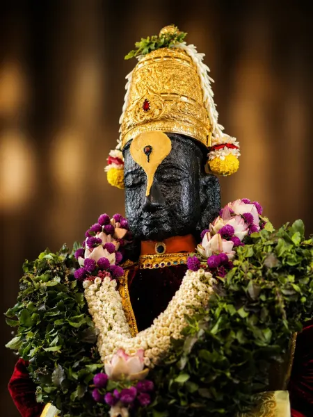 पंढरपूर विठ्ठल दर्शन रूप १३