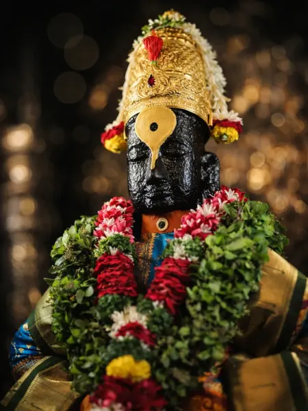 पंढरपूर विठ्ठल दर्शन रूप १५