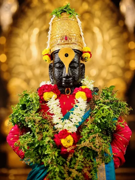 पांडुरंग रुक्मिणी युगल रूप १२