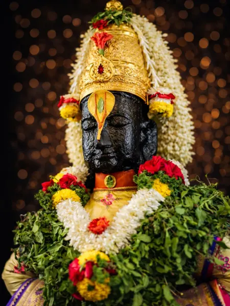 श्रीहरी विठ्ठल माऊली दर्शन ०१