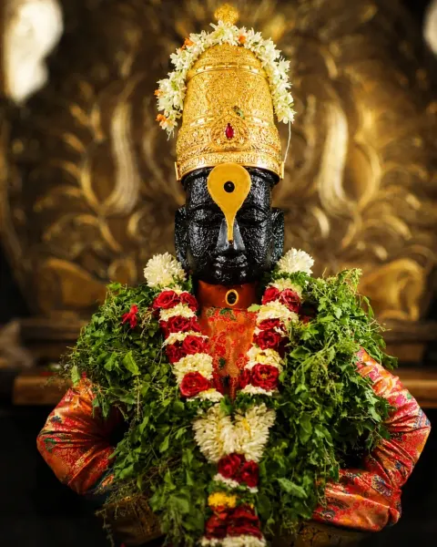श्रीहरी विठ्ठल माऊली दर्शन ०२