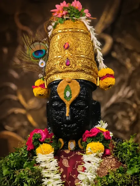 श्रीहरी विठ्ठल माऊली दर्शन ०५