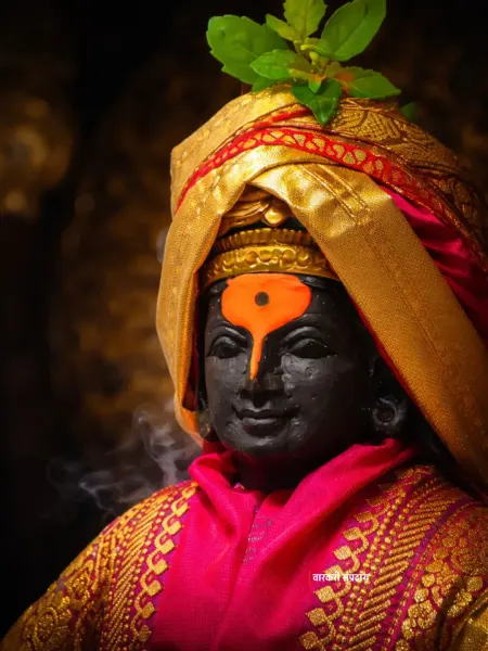 श्रीहरी विठ्ठल माऊली दर्शन ०६