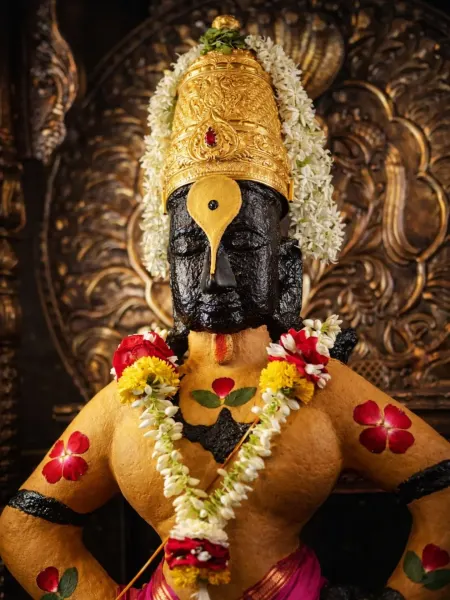 श्रीहरी विठ्ठल माऊली दर्शन १०