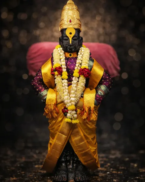 श्रीहरी विठ्ठल माऊली दर्शन ११