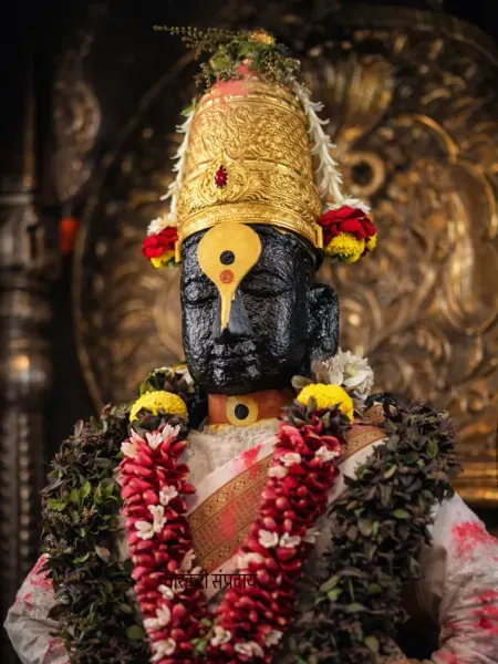 श्रीहरी विठ्ठल माऊली दर्शन १२