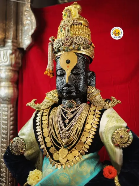 श्रीहरी विठ्ठल माऊली दर्शन १४