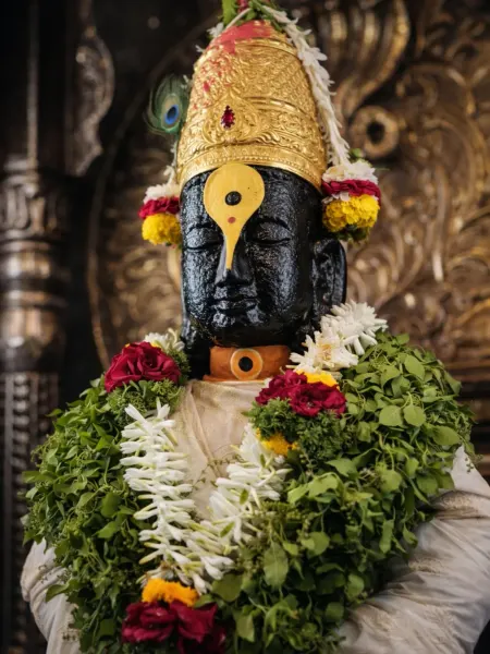 श्रीहरी विठ्ठल माऊली दर्शन १५