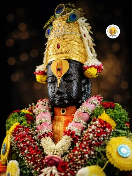 श्री विठ्ठल मूर्ती पंढरपूर ०४