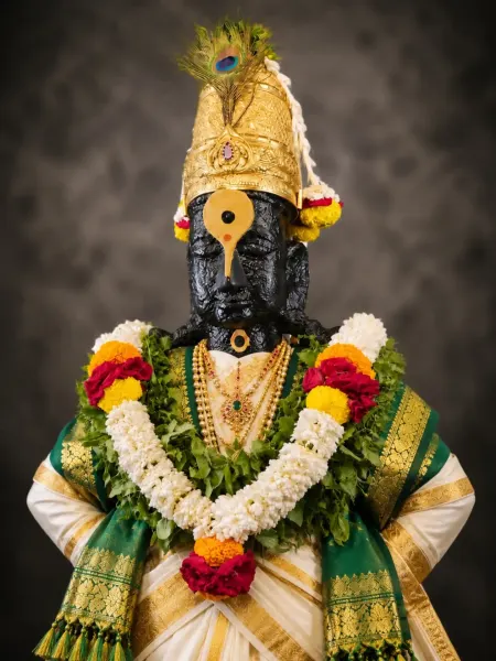 श्री विठ्ठल मूर्ती पंढरपूर ०५