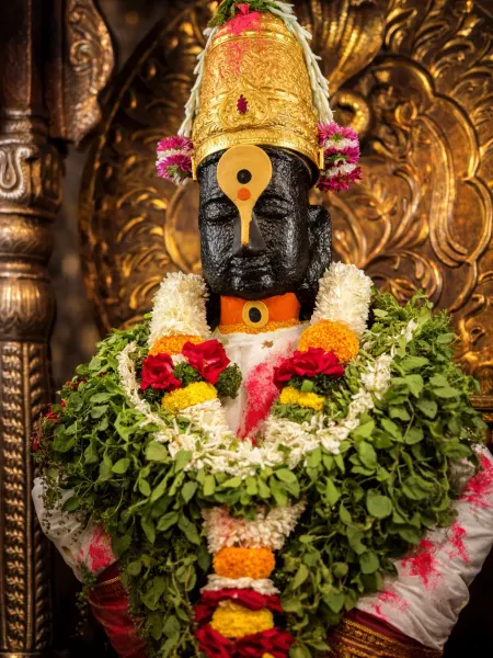 श्री विठ्ठल मूर्ती पंढरपूर १५