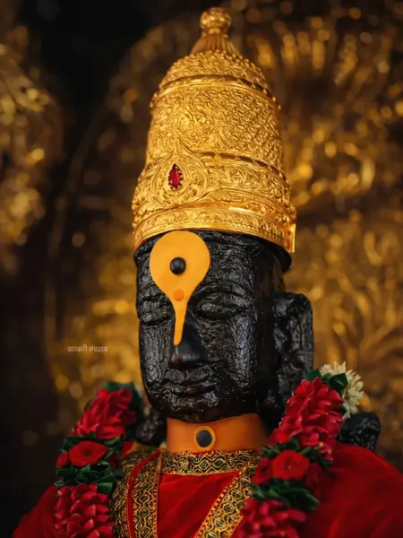 श्री विठ्ठल पांडुरंग रूप १४