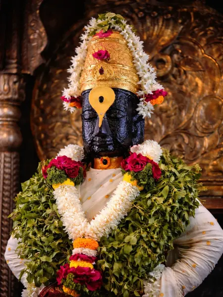 विठोबा रखुमाई पावन रूप ०५