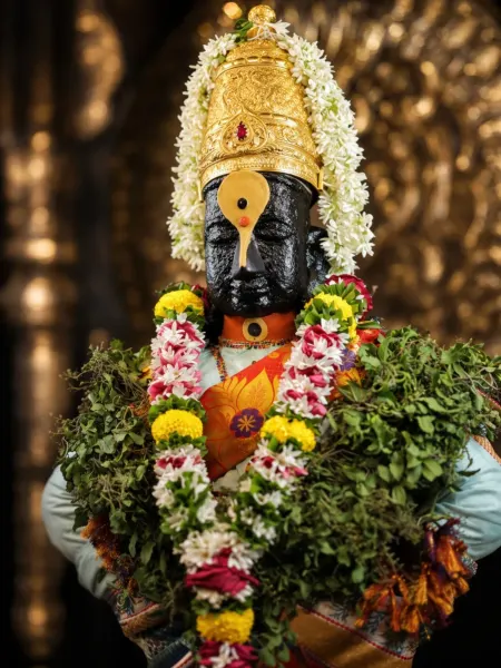 विठोबा रखुमाई पावन रूप १४