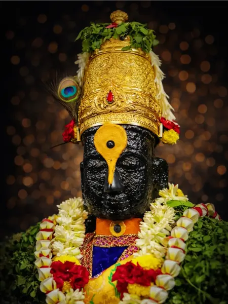 विठोबा रखुमाई पावन रूप १५
