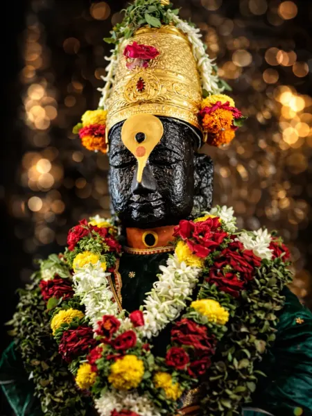 विठ्ठल माऊली पंढरपूर दर्शन ०२