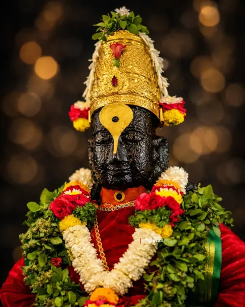 विठ्ठल माऊली पंढरपूर दर्शन ०३
