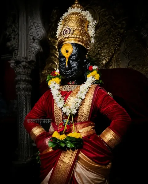 विठ्ठल माऊली पंढरपूर दर्शन ०५