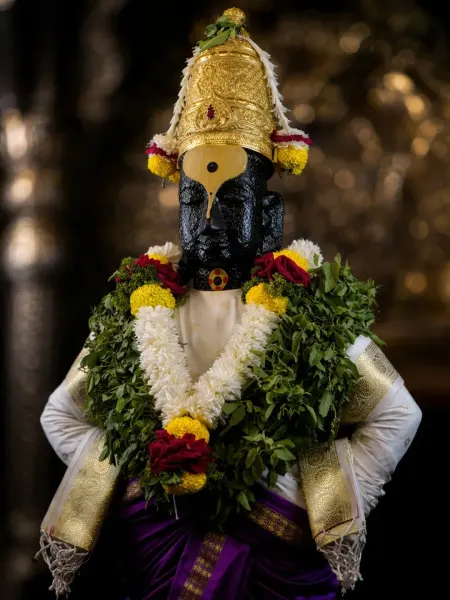 विठ्ठल माऊली पंढरपूर दर्शन ०६