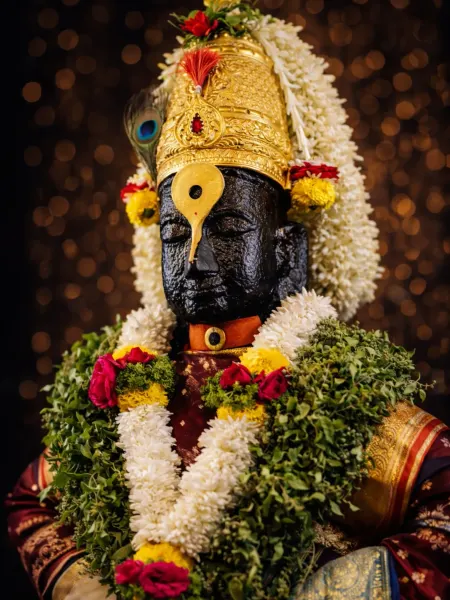 विठ्ठल माऊली पंढरपूर दर्शन ०८