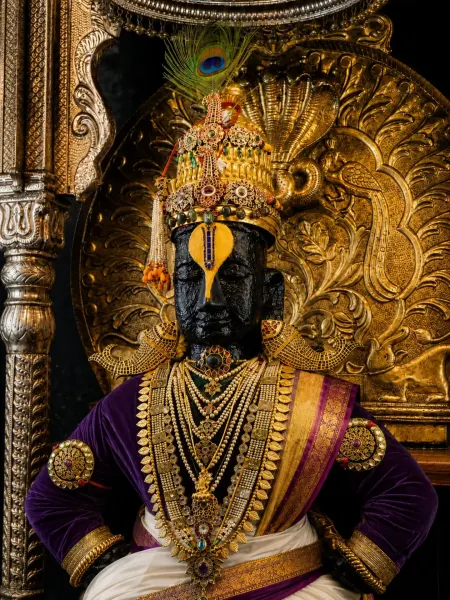 विठ्ठल माऊली पंढरपूर दर्शन ०९