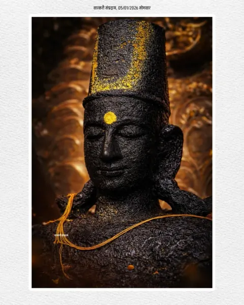 विठ्ठल माऊली पंढरपूर दर्शन १०