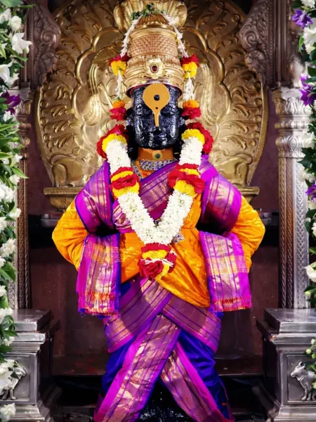 विठ्ठल माऊली पंढरपूर दर्शन १२