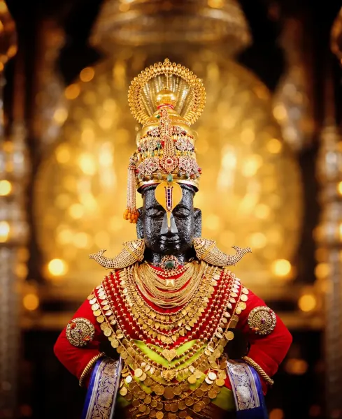 विठ्ठल माऊली पंढरपूर दर्शन १५