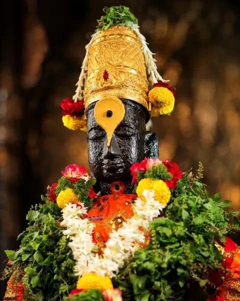 विठ्ठल रुक्मिणी मंदिर दर्शन ०६
