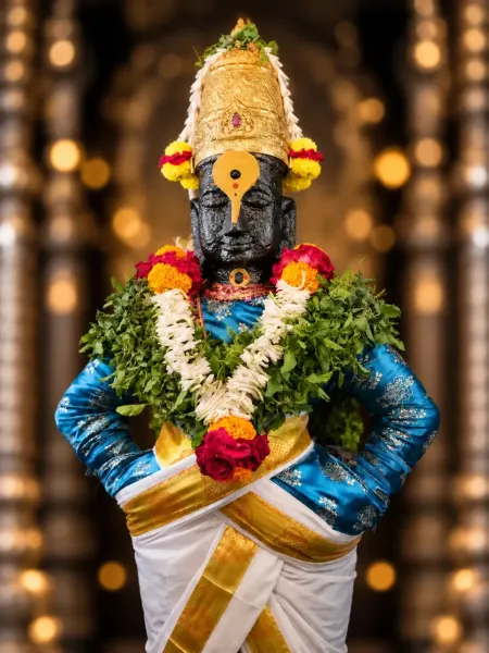 विठ्ठल रुक्मिणी मंदिर दर्शन ०९
