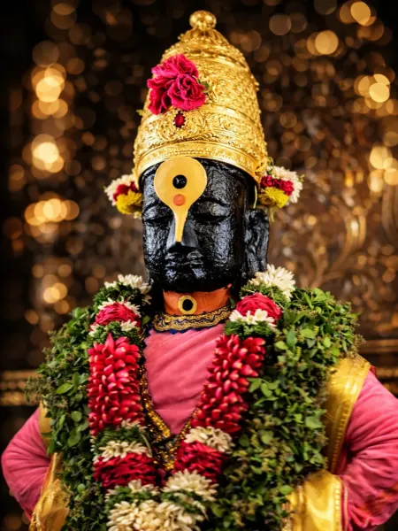 विठ्ठल रुक्मिणी मंदिर दर्शन १३