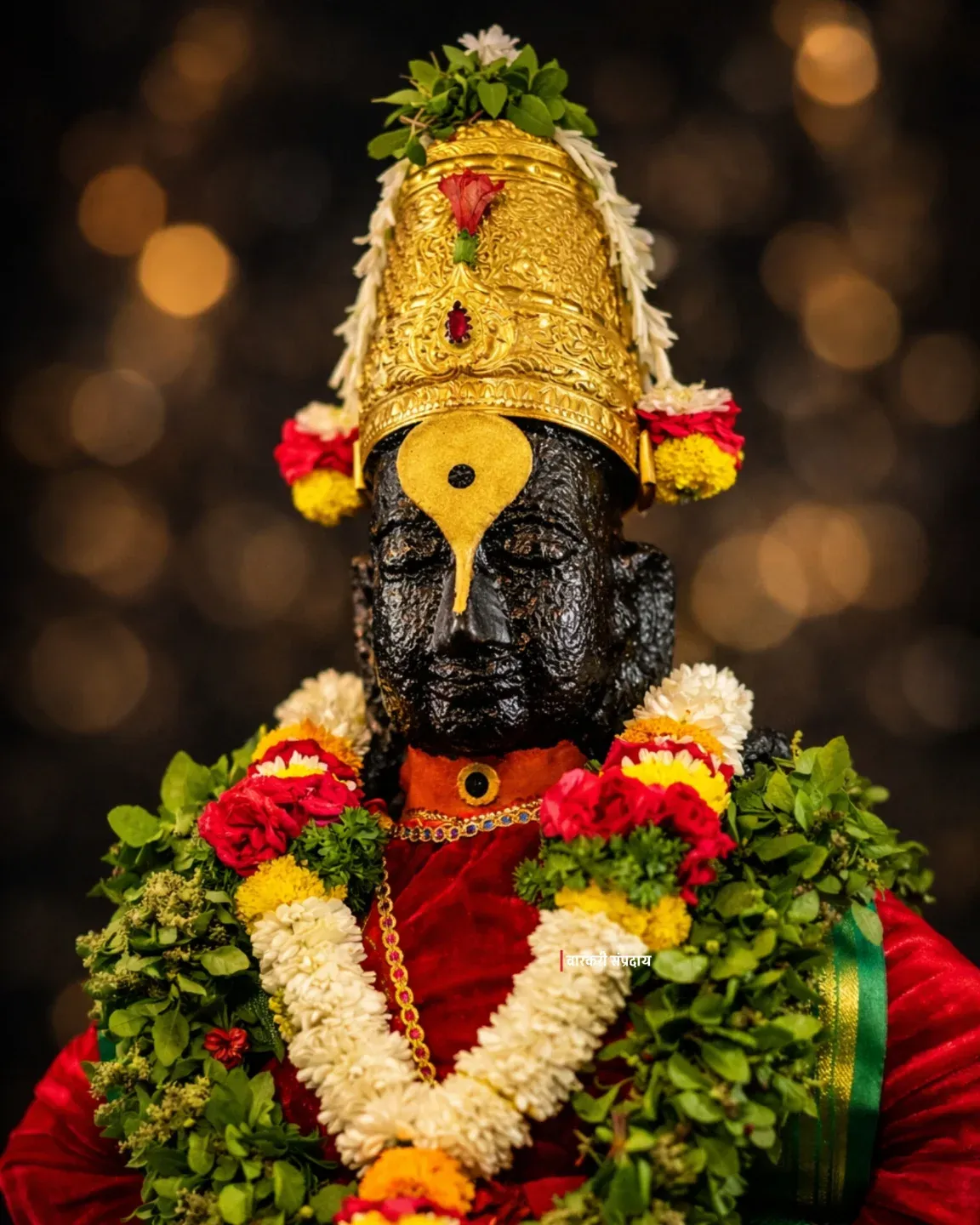 Vitthal Mauli Pandharpur Darshan 027