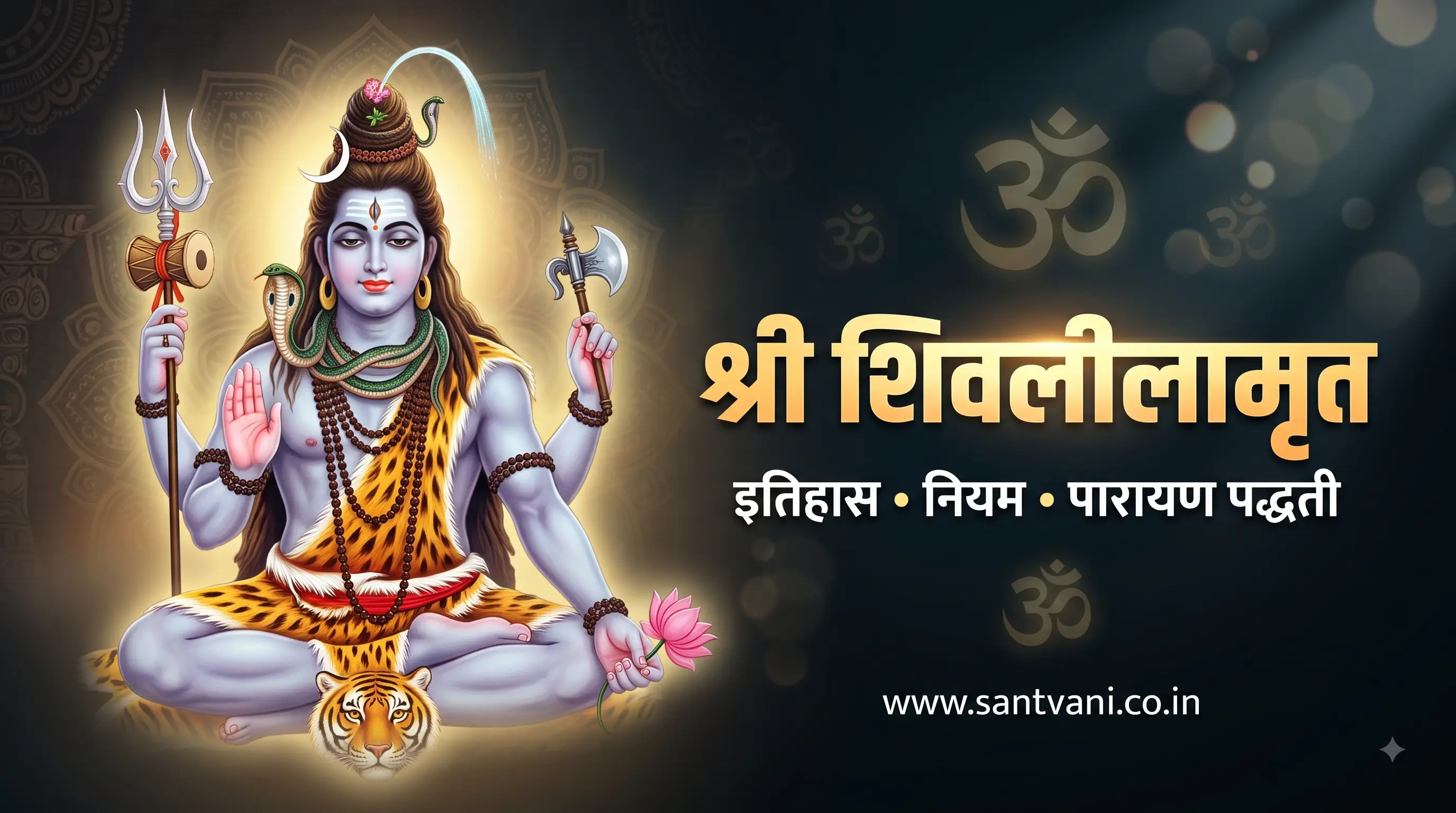श्री शिवलीलामृत ग्रंथ माहिती व पारायण
